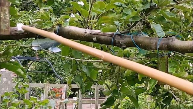 :0290: جادوئی پودا ۔ سیب نمبر ایک / Magic Tree, Apple No.1. смотреть онлайн
