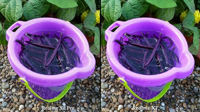Realme X2 Pro VS Realme XT Camera Comparison Which is Better Camera,Camera Review,Camera Test смотреть онлайн