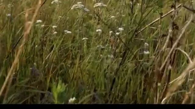 У шляпника сегодня распродажа..., Стихи Тамара Мазур, муз. и исп. #СамуилФрумович смотреть онлайн