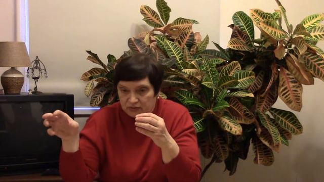 Встреча 7. Приглашение на практику по определению соционического типа смотреть онлайн