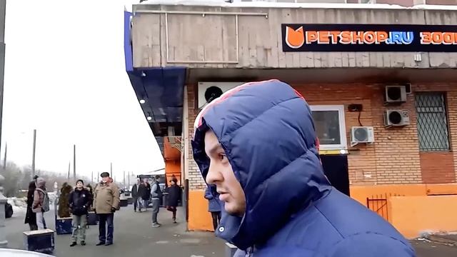 СтопХам-Лучшее #9 в FullHD