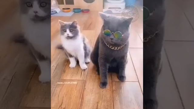 «ВАКЦИНАЦИЯ» смотреть онлайн