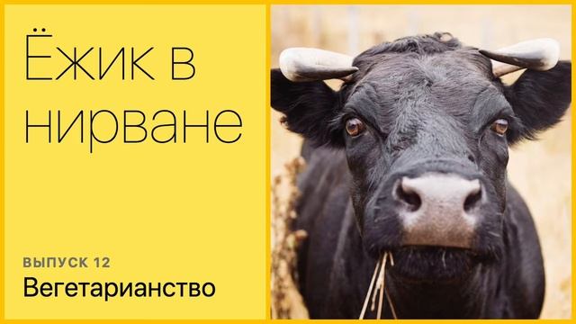 Вегетарианство