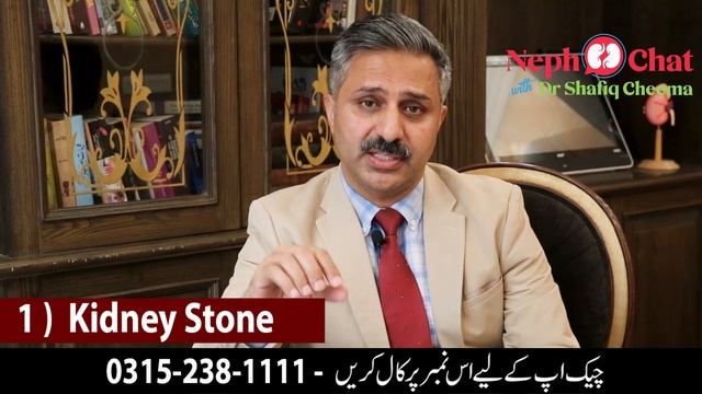 Flank or Kidney Pain| Causes & Treatment смотреть онлайн