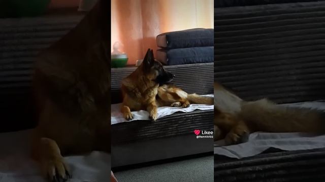 Греммся дома смотреть онлайн