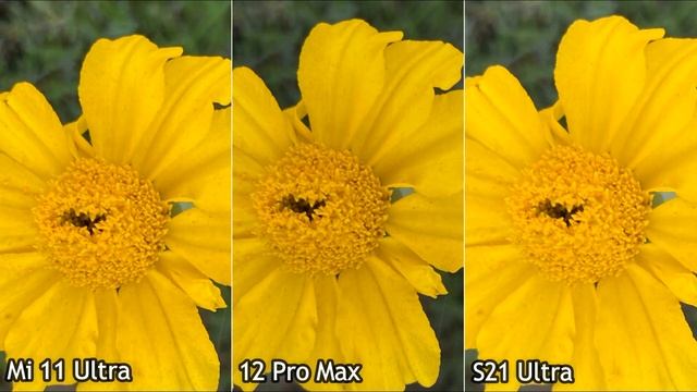 Xiaomi Mi 11 Ultra vs iPhone 12 Pro Max vs Samsung S21 Ultra Camera Test смотреть онлайн