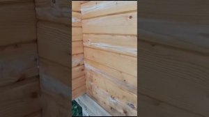 #заделкатрещинвбрусе : герметизация трещин в доме из бруса