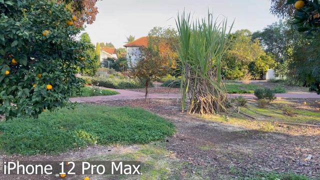 iPhone 12 Pro Max Vs Poco M3 - Camera Comparison смотреть онлайн