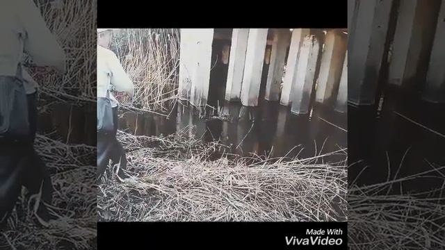 Ловля окуня на микроречке смотреть онлайн
