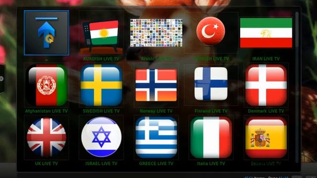 Kodi Multi Cultural Channels + How To Properly Clear Cach