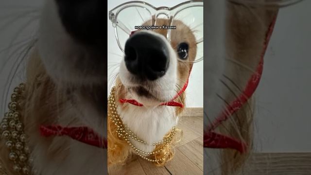 В сети завирусился разговор с центром недвижимости Казани, где женщина просит найти квартиру смотреть онлайн