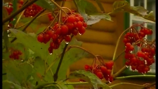 Благодатная Оптина. Фильм первый..mp4