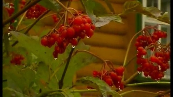 Благодатная Оптина. Фильм первый..mp4