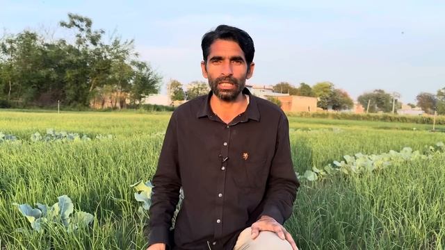 April 2024 me konsi sabji lagaye | April me sabji ki kheti | Vegetable to grow in April |Sabji khet смотреть онлайн