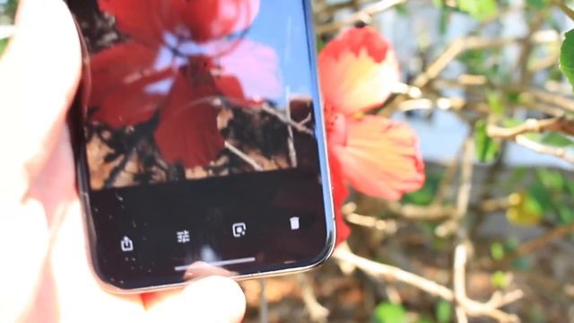 Google Lens For iPhone Now Available | Make Your iPhone Camera Smart смотреть онлайн