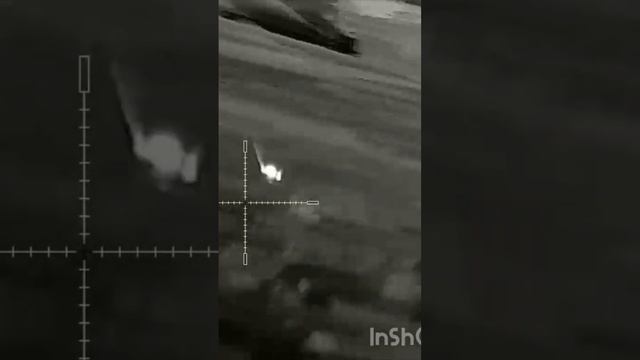 Тушканчик это маленький кенгуру смотреть онлайн