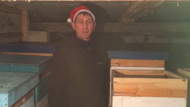 новогоднее поздравление пчеловодов смотреть онлайн