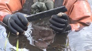 Нашли секретный чемоданчик, солдата и оружие. Раскопки по войне