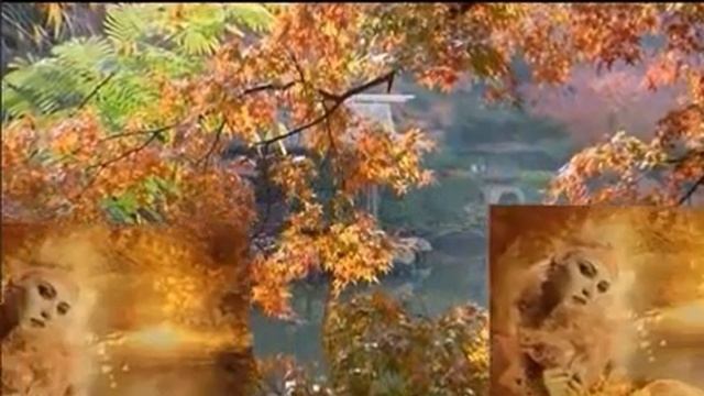 Осенний романс..., Стихи Нелли Добротолюбова, муз. и исп. #СамуилФрумович смотреть онлайн