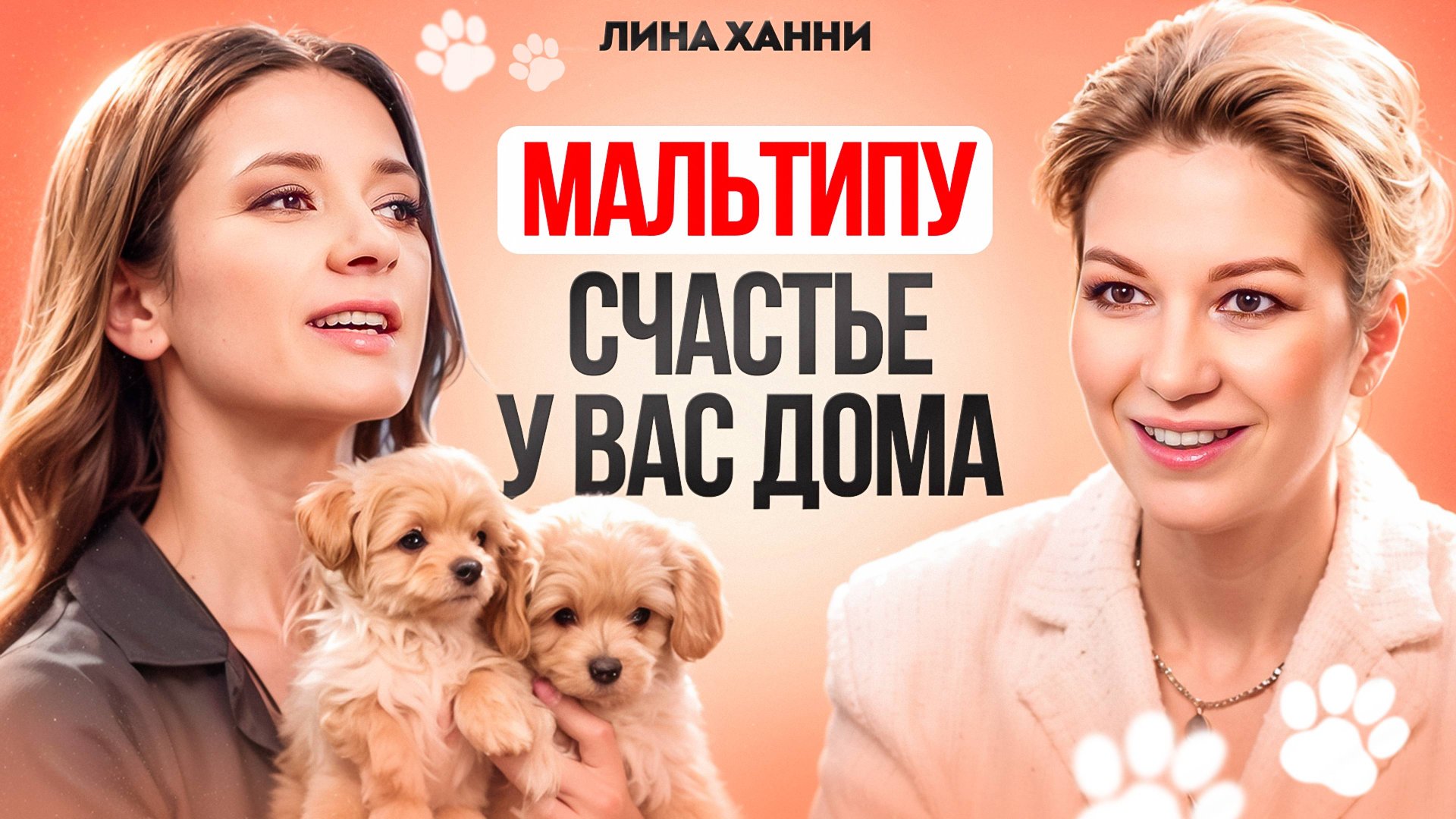 Щенки Мальтипу - комочек счастья! Заводчик Лина Ханни все о породе мальтипу и пути в кинологии. смотреть онлайн