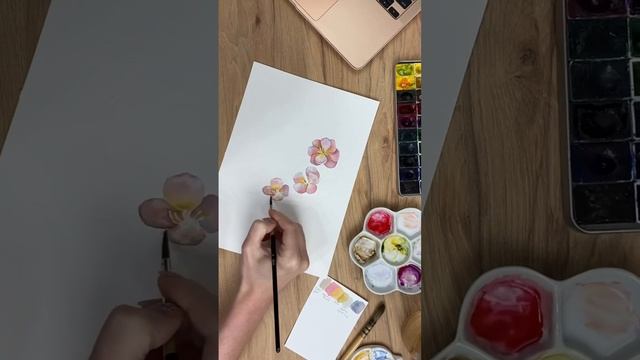Акварельные цветы #иллюстратор #акварель #watercolor смотреть онлайн