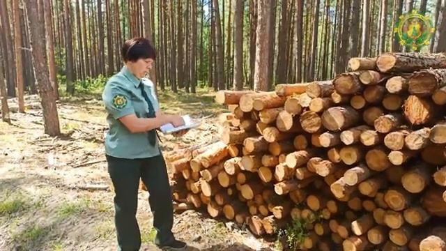 Быховский лесхоз 2021 смотреть онлайн