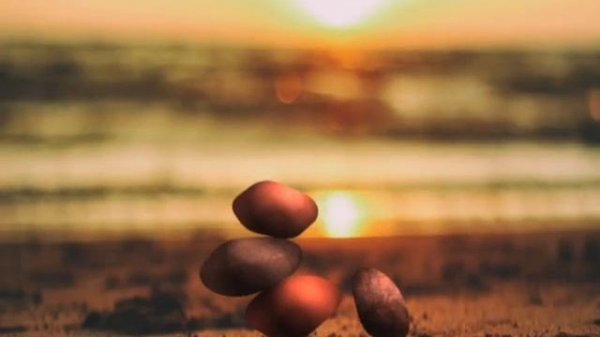 I Played Every NEAL.FUN Game