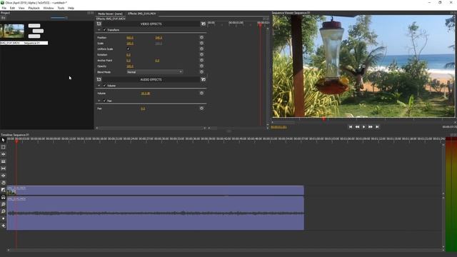 Fix Slow Motion Video in Olive Video Editor (Convert Slo-Mo iPhone/Samsung Framerate) смотреть онлайн