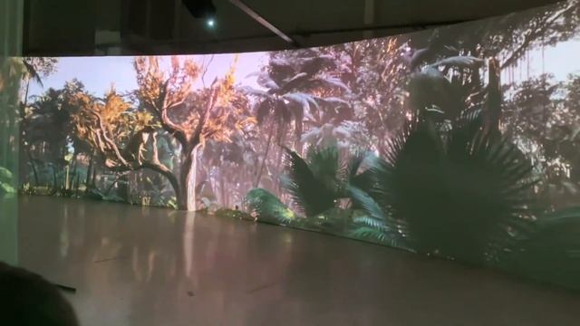 ДИКАЯ АФРИКА В МЕГЕ смотреть онлайн