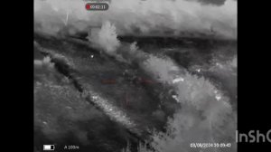 Охота на шакала в Ростовской области у Александра тоже началась успешно. Прицел Guide TR430