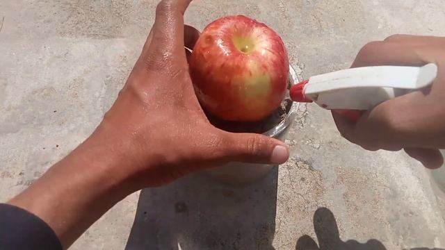 How to grow apple trees | How to grow apples | How to grow apple tree at home #apple смотреть онлайн