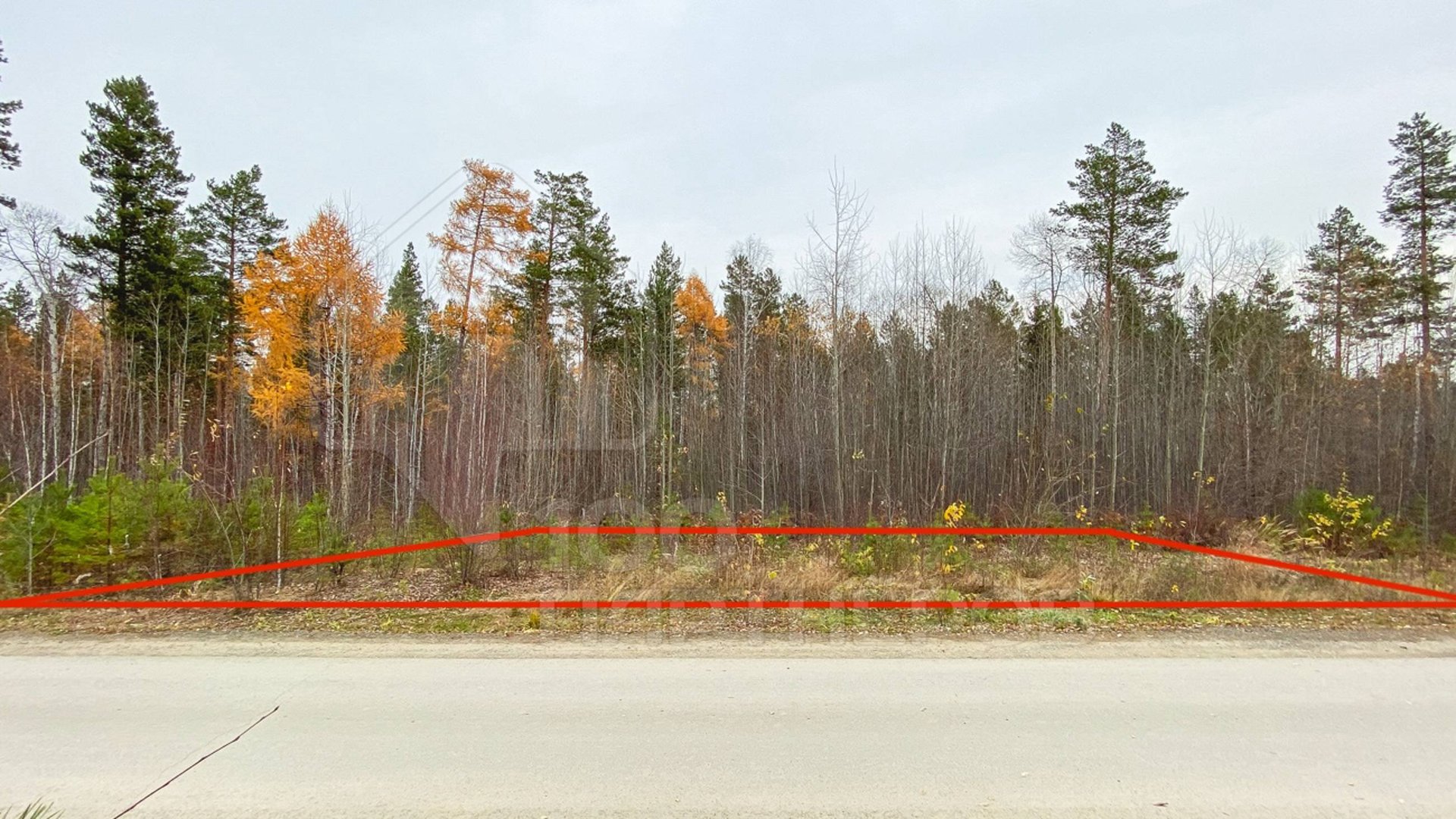 Видео-обзор участка СНТ «Светлый Яр», 80 смотреть онлайн