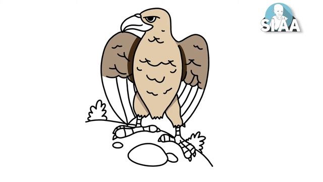 Menggambar Dan Mewarnai Burung Elang 🦅 Mewarnai Gambar Hewan Untuk Anak-Anak, Balita