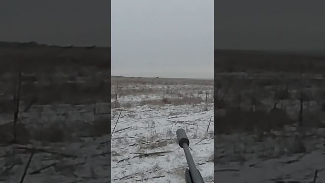 Охота на косулю. Стрелять нужно подучиться:) смотреть онлайн