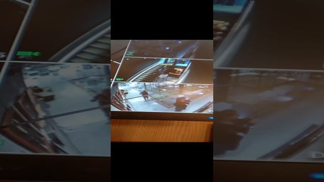 галерея.mp4 смотреть онлайн