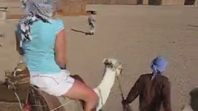 Safari - Egypt, Egipt