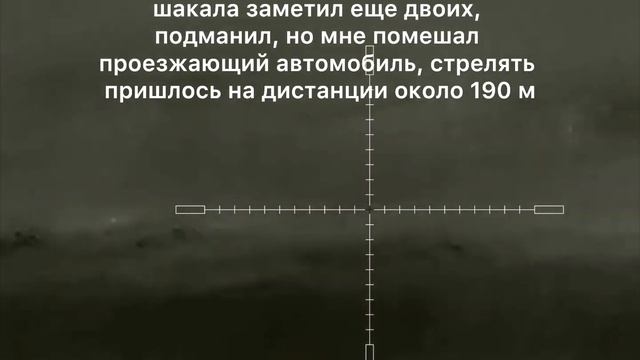 4. Охота на шакала с тепловизионным прицелом Iray Saim и карабином Kurbatov R-715 .223rem смотреть онлайн
