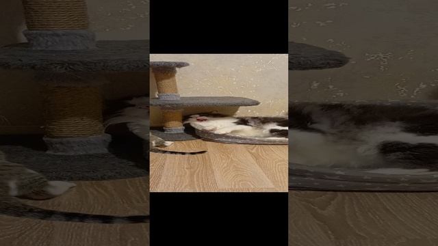 Делят Место смотреть онлайн