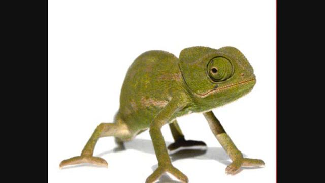 Third Party, Abigail Bailey - Rise (Main Room Mix) смотреть онлайн