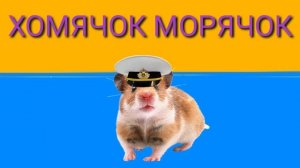 Хомячок Морячок