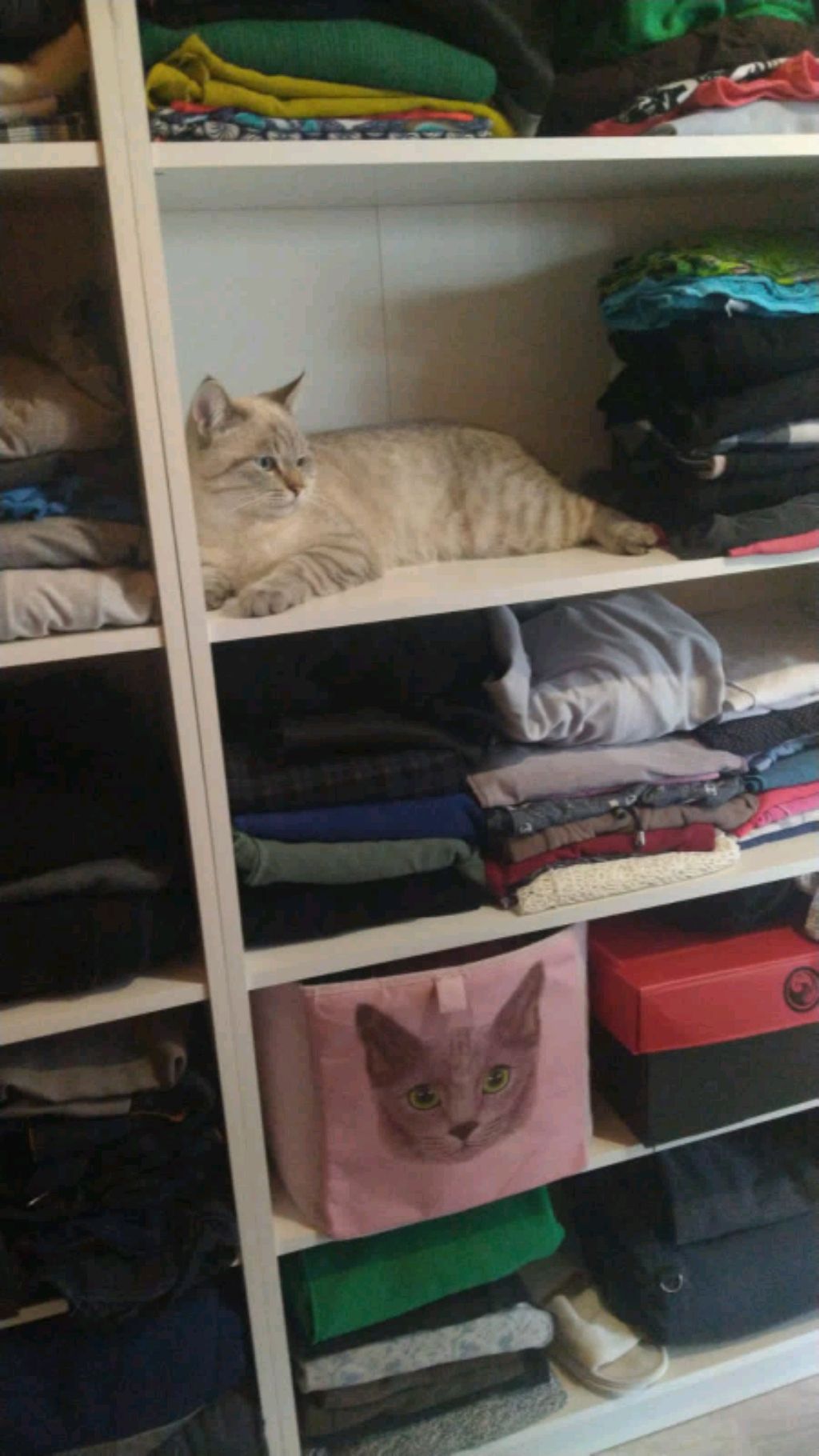 Настя сейчас придёт на видео смотреть онлайн