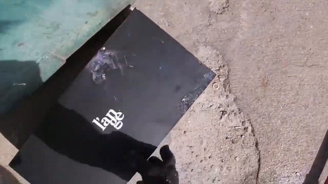 DUMPSTER DIVING YOU HAVE TO SEE THIS !! FREE HAUL смотреть онлайн