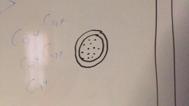 Signal Transduction Pathway Sweet Taste смотреть онлайн