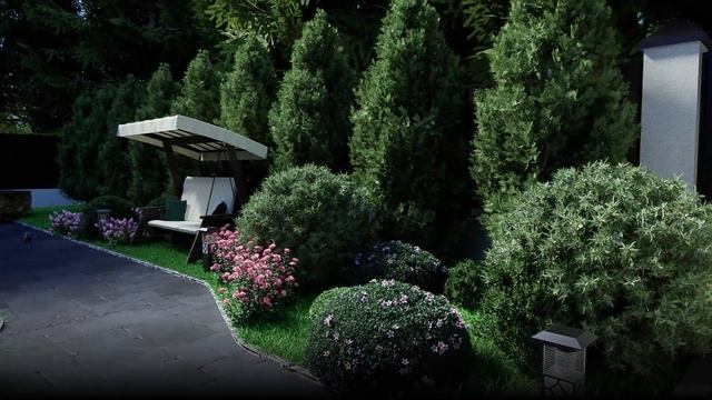 Живое видео 2