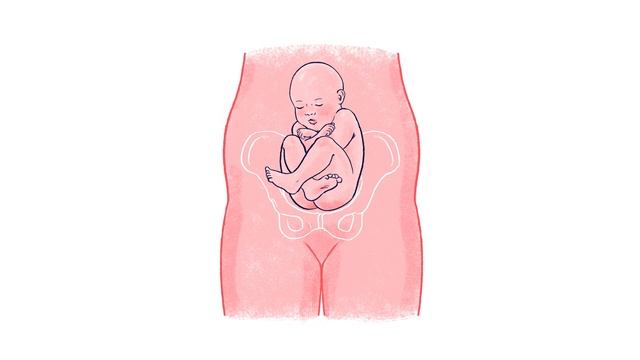 31 Weeks Pregnant - Natural Pregnancy Week-By-Week