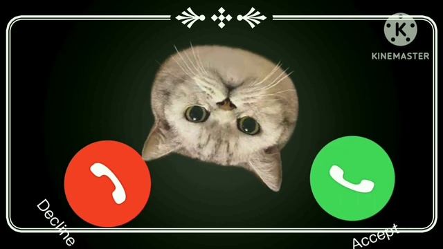 IPhone Cat Ringtone IPhone 17 Pro Max IPhone Appel Ringtone Cat Sound Notification #TiTi 01