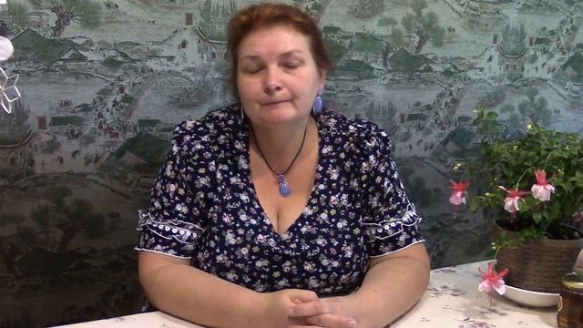 Встреча с соционическим типом Дон-Кихот смотреть онлайн