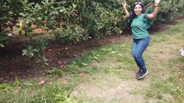 Apple Picking in Georgia, USA ||How I spent whole day in the apple farm ||Activities at the farm || смотреть онлайн