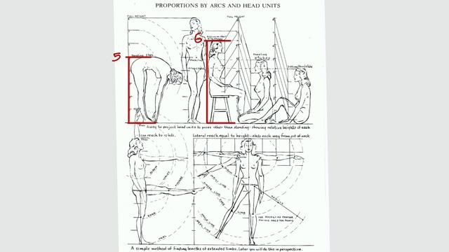 How to Draw BASICS: Proportion смотреть онлайн
