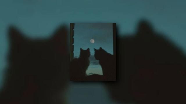 mac demarco - moonlight on the river (sped up) смотреть онлайн